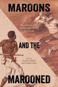 Caribbean Studies Series