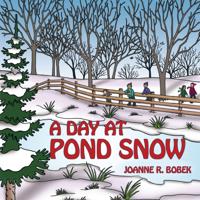 Day at Pond Snow