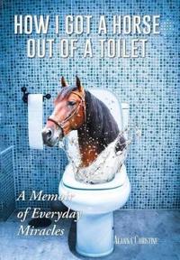 How I Got a Horse Out of a Toilet