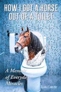 Bokomslag for "How I Got a Horse Out of a Toilet"