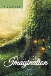 Flight of Imagination