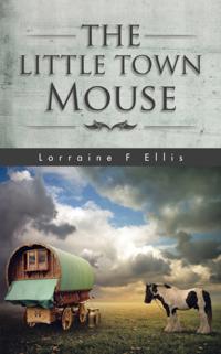 Little Town Mouse