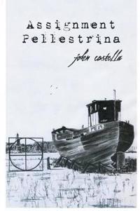 Kirjan kansi "Assignment Pellestrina"