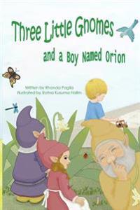 Three Little Gnomes: and a Boy Named Orion