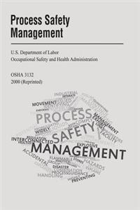 Bokomslag för "Process Safety Management"