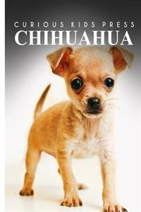Chihuahua - Curious Kids Press: Kids book about animals and wildlife, Children's books 4-6
