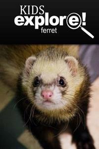 Ferret - Kids Explore: Animal books nonfiction - books ages 5-6