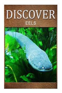 Eels - Discover: Early reader's wildlife photography book