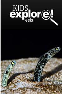 Eels - Kids Explore: Animal books nonfiction - books ages 5-6