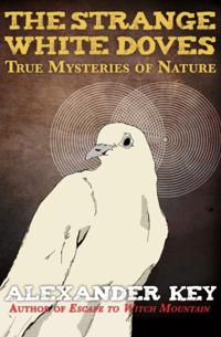 Strange White Doves