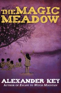 Magic Meadow