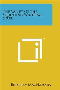 The Valley of the Squinting Windows (1920)