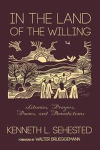In the Land of the Willing