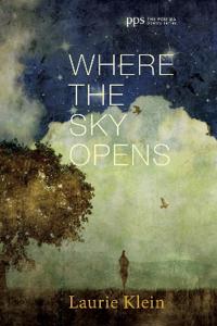 Bokomslag for "Where the Sky Opens"