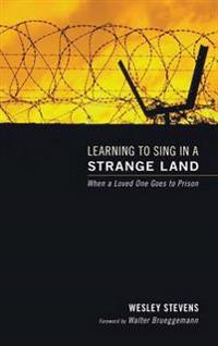 Bokomslag för "Learning to Sing in a Strange Land"