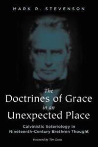 Kirjan kansi "The Doctrines of Grace in an Unexpected Place"