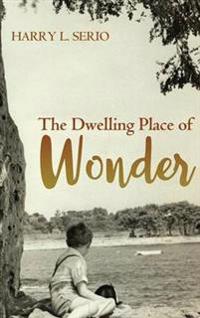 Kirjan kansi "The Dwelling Place of Wonder"