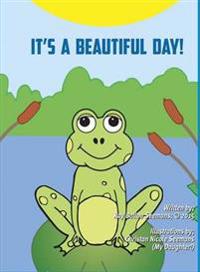 Bokomslag for "It's a Beautiful Day"