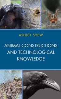 Postphenomenology and the Philosophy of Technology