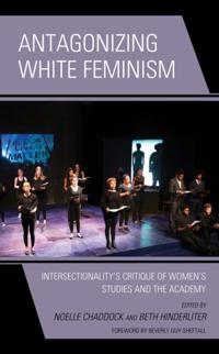 Feminist Strategies: Flexible Theories and Resilient Practices