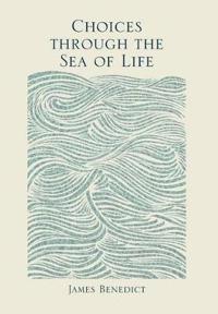 Choices Through the Sea of Life