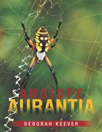 Argiope Aurantia