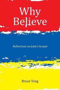 Bokomslag for "Why Believe"