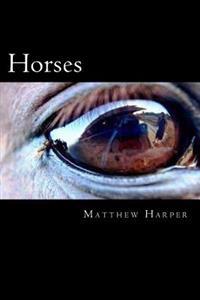 Kirjan kansi "Horses: The Essential Guide to Horses for Kids"