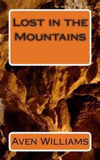 Lost in the Mountains