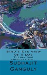 Bird's Eye View of a Day