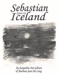 Sebastian Goes to Iceland
