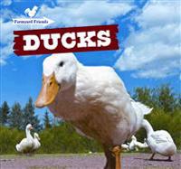 Ducks