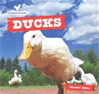 Ducks