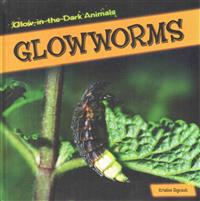 Kirjan kansi "Glowworms"