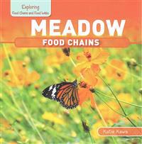 Meadow Food Chains