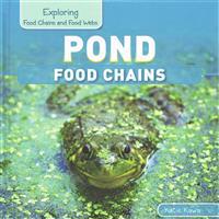 Pond Food Chains
