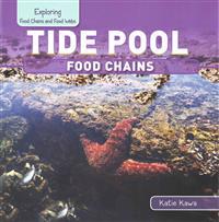 Tide Pool Food Chains