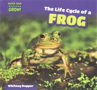 The Life Cycle of a Frog