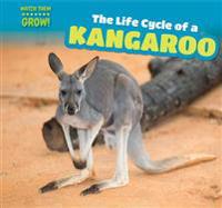 The Life Cycle of a Kangaroo