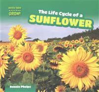 Kirjan kansi "The Life Cycle of a Sunflower"