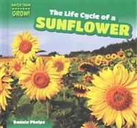 The Life Cycle of a Sunflower