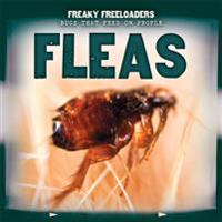 Fleas