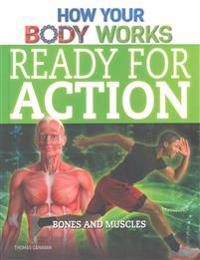 Ready for Action: Bones and Muscles