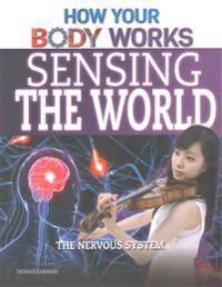 Sensing the World