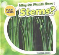 Why Do Plants Have Stems?