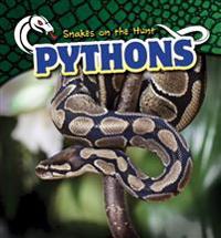 Kirjan kansi "Pythons"