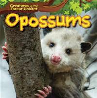 Opossums