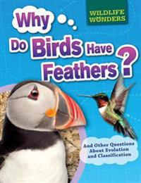 Why Do Birds Have Feathers?