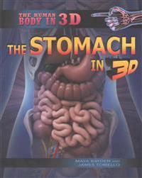 The Stomach in 3D