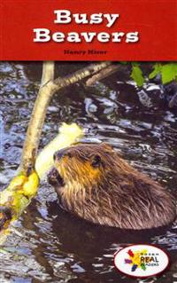 Busy Beavers